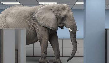 Social Security: Elephant in the Room