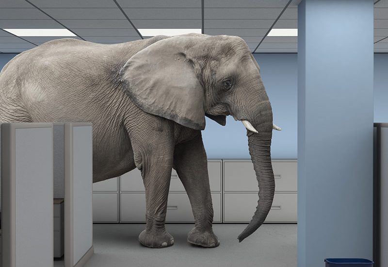 Social Security: Elephant in the Room